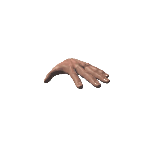 Left Male Hand_Medium